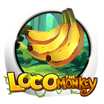 Loco the Monkey