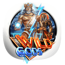 Wild Gods