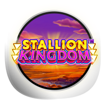 Stallion Kingdom